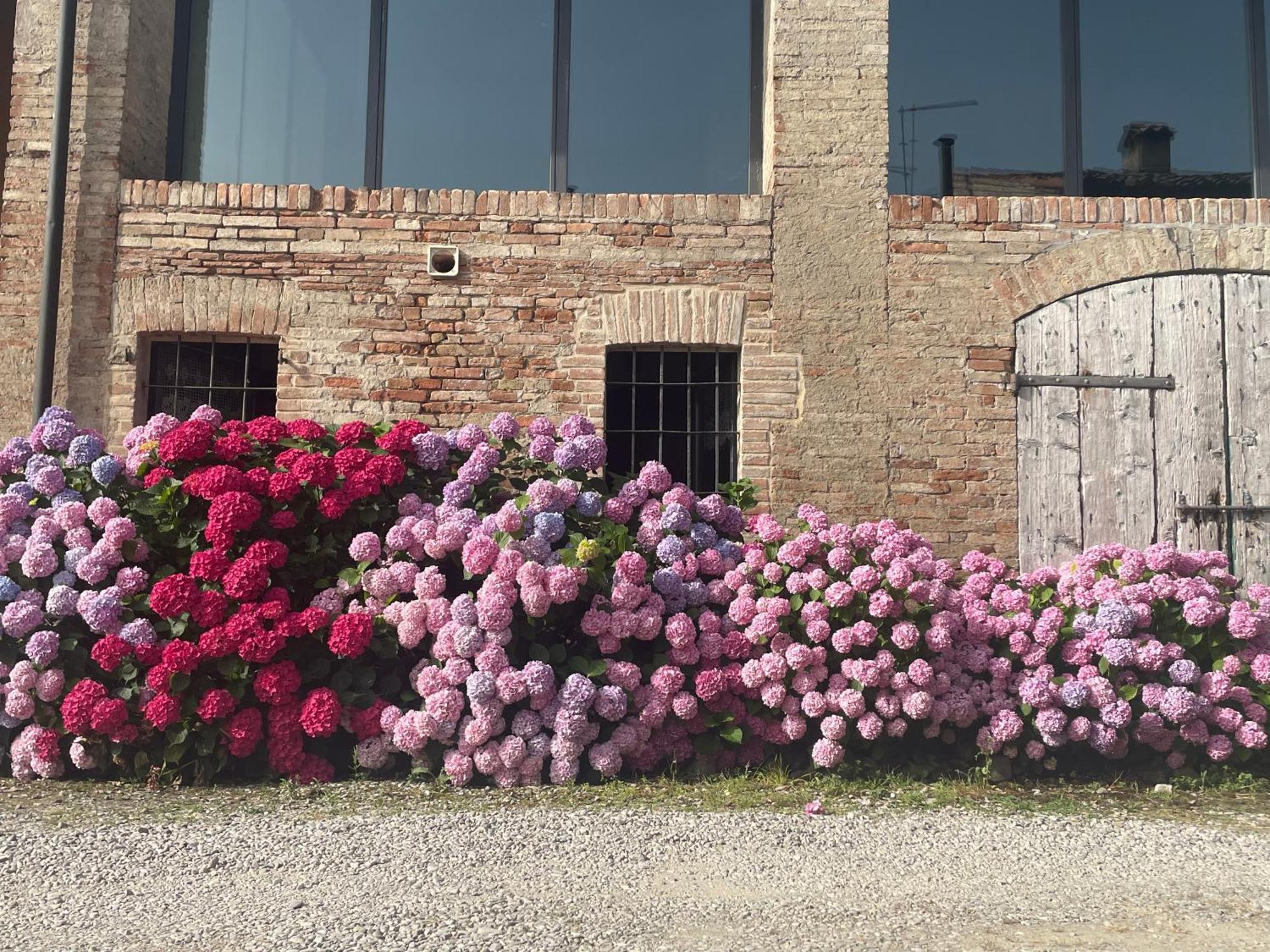 B&B Il Conte Giacomo Viarolo Exterior photo